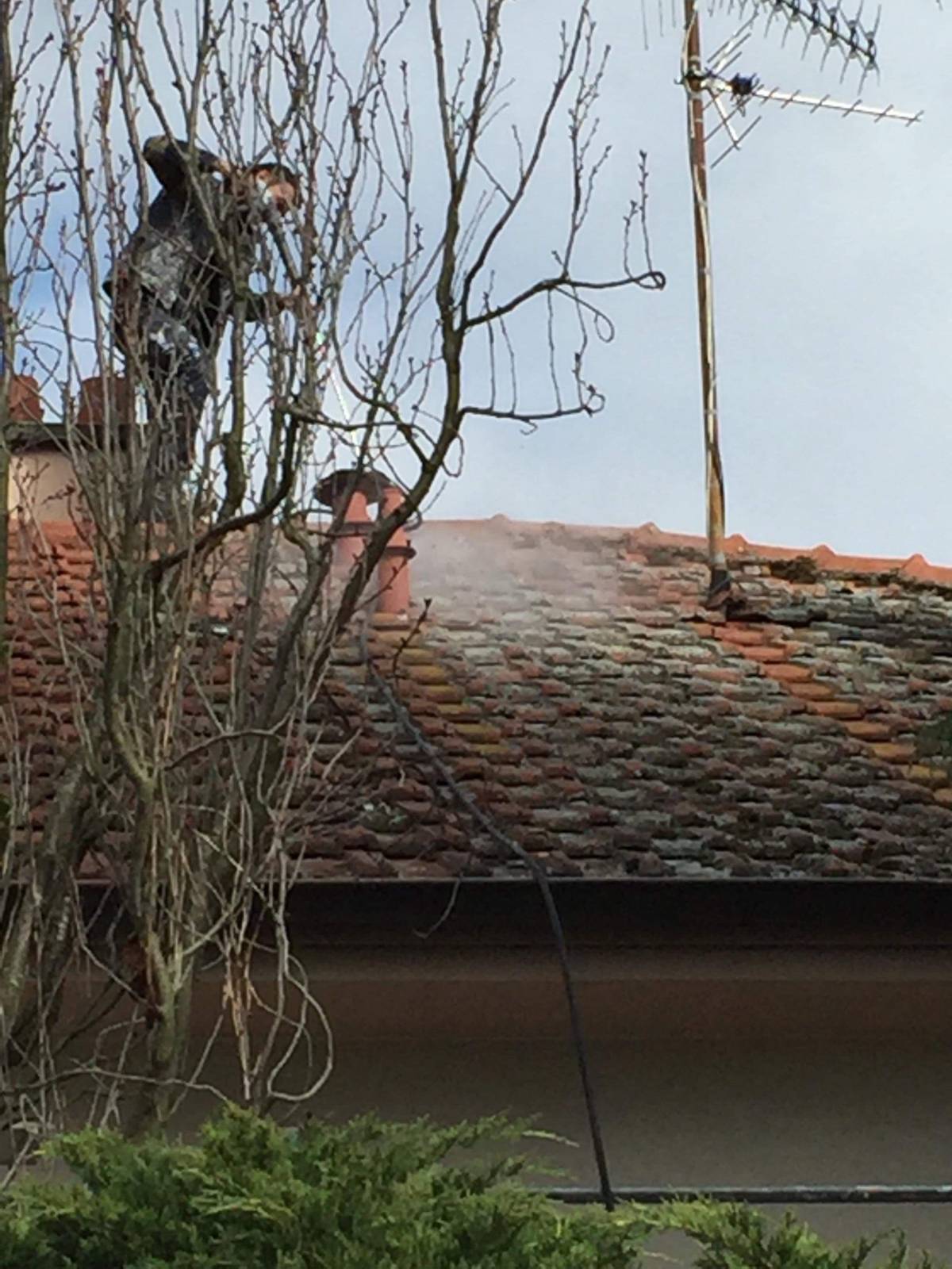 Nettoyage et traitement de toiture à Kingersheim près de Mulhouse Saint-Louis